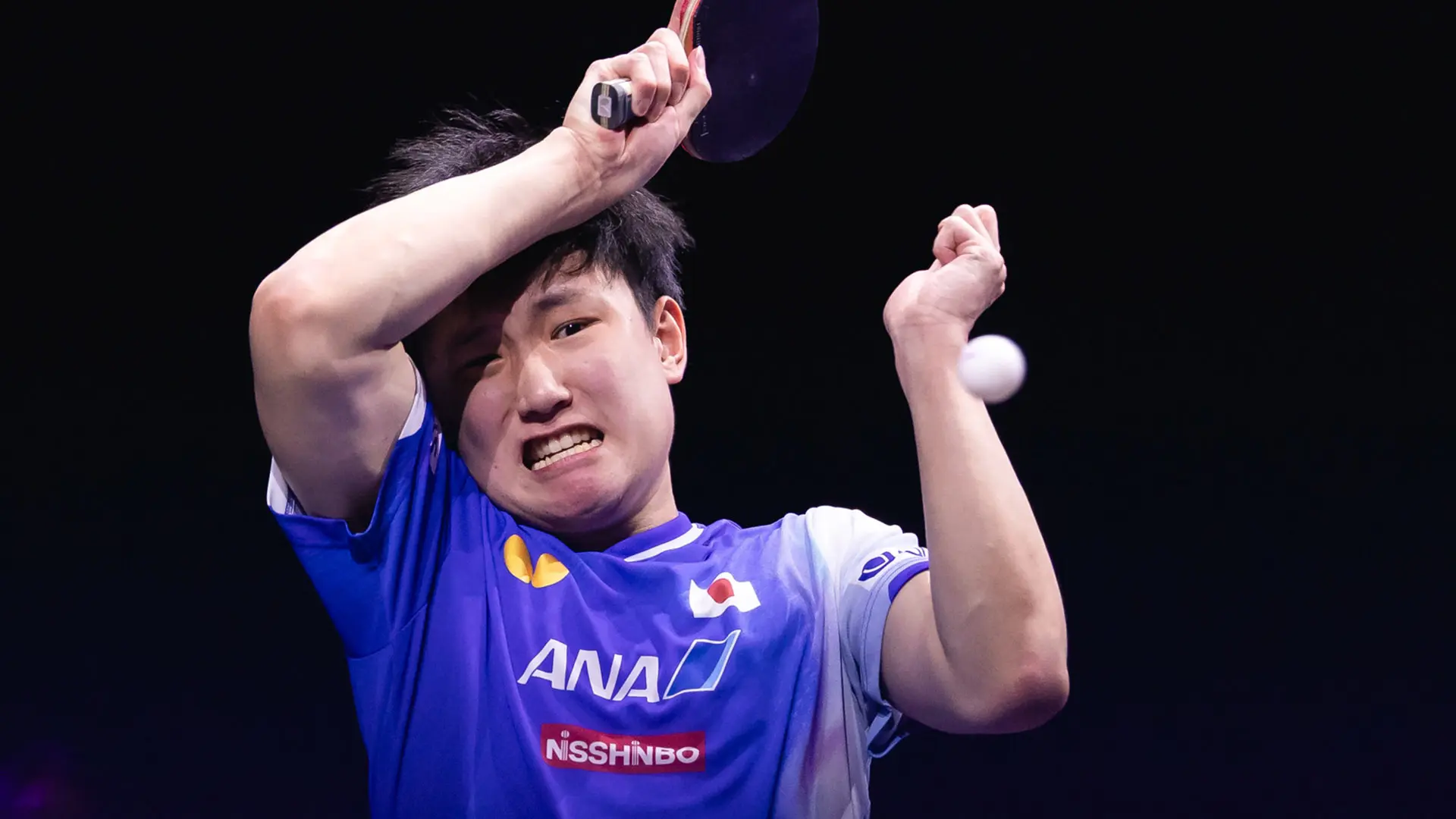 连爆大冷, 温瑞博, amp 连爆大冷, 温瑞博, amp