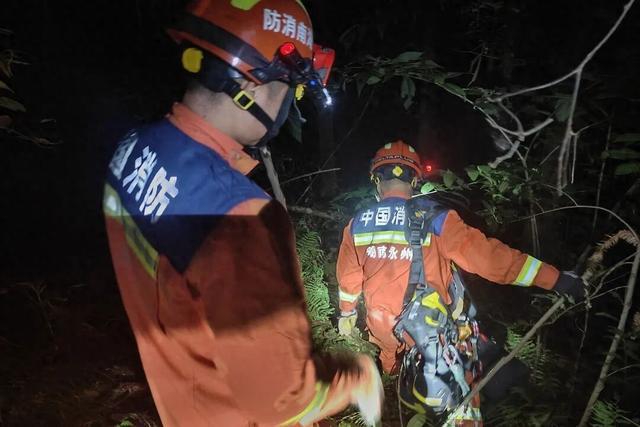 伤女子固定, 队伍才继续, 胡蜂毒素为